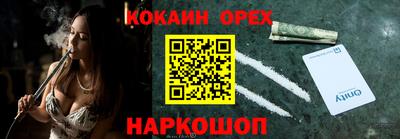 крисы Будённовск