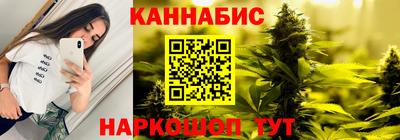 крисы Будённовск